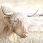 Soft Highland Art Print