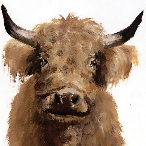 Fluffy Highland Art Print