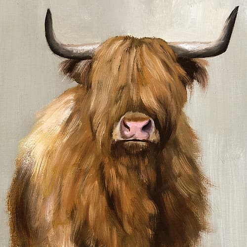 Harry the Highland Art Print