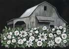 Flower Barn Art Print