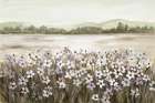 Wildflower Surprise Art Print