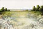 Open View Art Print