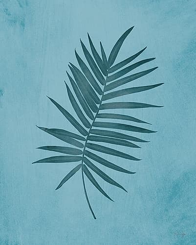Beautiful Solitude Tropical Print