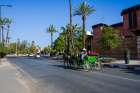 Horse-Drawn Carriage On Street With Palm Trees And Buildings. Marrakesh, Morocco Art Print
