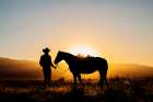 Cowboy And Horse Silhouetted By A Glowing Sunset In A Grassy Landscape. Oregon, USA Art Print