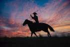 Silhouette Of A Cowboy On Horseback With A Lasso Against A Vibrant Sunset Sky. Oregon, USA Art Print