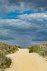 France, Ile De Noiruoutier, Barbatre, Beach Access Via The Dunes. Art Print