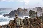 France, Mer Diroise, Ile Douessant, 29, Jagged Coastline North Of Creach, Parc Naturel 2025. Art Print