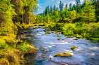 Flowing River In Bavarian Forest National Park Bavaria Germany Art Print