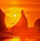 Golden Sunset Over Ocean, Seagull Silhouette Flying Between Rock Formations, Vintage Photograph Art Print