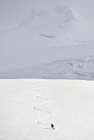 Alaska Ski Mountaineering Art Print