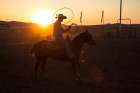 Cowboy Tossing Lasso During Rodeo At Sunset Art Print