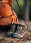 A Close Up Of Hiking Boots Next To An Orange Hiking Backpack In Maine Art Print