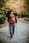 A Hiker With A Backpack Walks Through Fall Foliage In The Maine Woods Art Print