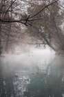 Fog On The Lake In The Morning Under The Tree Branches In Winter Art Print