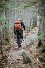 A Male Retirement Age Hiker Walks On The Appalachian Trail In Maine Art Print