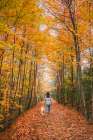 Woman And Dog Walking On Wooded Trail On Autumn Day From Behind. Art Print