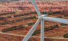 Close Up Of Wind Turbine Amidst A Field Of Wild Blueberries Art Print