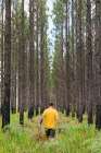 A Man Is Walking Into The Forest On A Grass Art Print