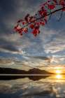 Vibrant Red Fall Foliage With Mountain, Lake, Setting Sun, Maine Art Print
