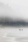 Hikers On A Beach In The Mist Near Bonilla Point, West Coast Trail, British Columbia, Canada. Art Print