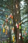 Carved Foam Buoys Hang From A Tree At Michigan Creek Camp Art Print