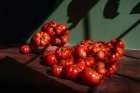 Bright Red Tomatoes On Kitchen Table In Window Light Art Print