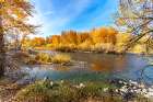Fall Color On The Boise River Idaho Art Print