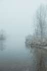 Foggy Winter Morning Along Boise River Greenbelt Art Print