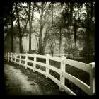 Black And White Image Of White Fence And Pathway Art Print