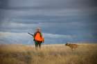 A Pheasant Hunter With His Dog In Washington State. Art Print