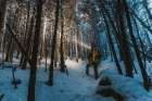 Man With Backpack Hikes Through Wintery Woods In Snow, New Hampshire Art Print