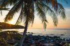 Sunset Over Rocky Shore With Palm Tree, Haad Na Lay, Koh Kood Art Print by Agita Captures