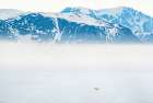 Breathtaking Arctic Wilderness: A Solitary Polar Bear Roams The Icy Expanse Art Print