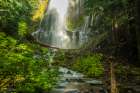 Explore The Serenity Of Majestic Forest Waterfalls - A Tranquil Escape Into Natures Beauty Art Print