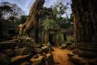Explore The Mystical Ta Prohm Temple: Ancient Ruins Entwined Art Print