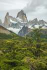 Explore Majestic Patagonia: Stunning View Of Fitz Roy Mountain Peaks And Lush Forest Adventurers Art Print