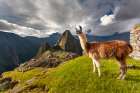 Machu Picchu, The Ancient \Lost City Of The Incas\, Peak Of Huaynapicchu In The Distance, Peru Art Print