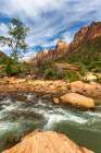 Virgin River, Zion Canyon National Park, Utah Art Print