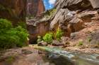 Hikers In The Narrows Slot Canyon, Zion Canyon National Park, Utah Art Print