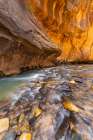 The Narrows Slot Canyon, Zion Canyon National Park, Utah Art Print