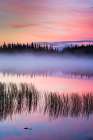 Morning Fog At Sunrise Over Willow Lake, Southcentral, Alaska. Art Print