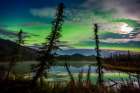 Aurora Borealis (Northern Lights) Over Small Taiga Pond In Brooks Range Mountains, Arctic, Alaska. Art Print