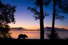 Digital Composite: Brown Bear Walks Along Shores Of Naknek Lake At Dawn, Kejulik Mountains, Alaska. Art Print