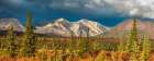 Autumn Colors On The Tundra And Taiga Along The Denali Highway, Alaska Range, Interior, Alaska. Art Print