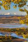 Mt. Hess And Mt. Deborah, Alaska Range, Tanana River Foreground, Interior Alaska Art Print