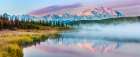 Trumpeter Swan Swims Amidst Morning Fog Over Calm Waters Of Wonder Lake At Sunrise, Denali Alaska. Art Print