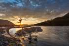 Caribou Antlers In Golden Light Of Midnight Sun On Canning River, Arctic National Wildlife Alaska. Art Print