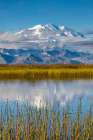 Summit Of Denali, North Americas Largest Mountain, Reflects In Reflection Pond, Denali Alaska. Art Print