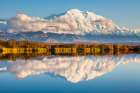 Denali Reflects In A Small Tundra Pond With Lily Pads, Sunset In Denali National Park, Alaska. Art Print